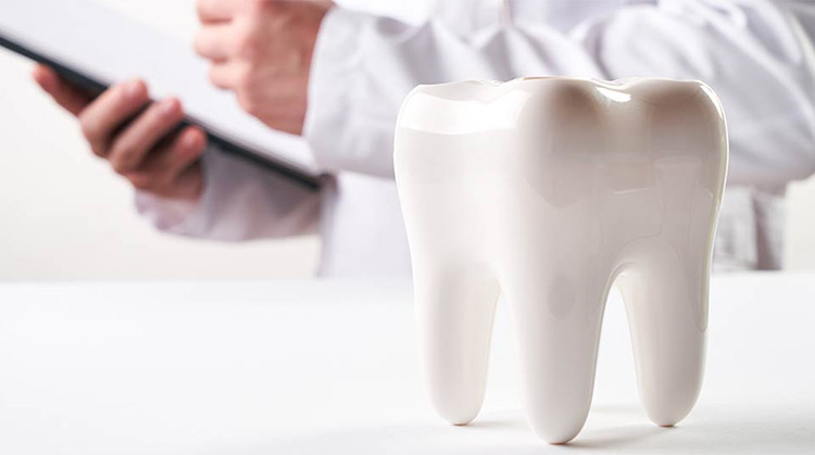 dentist dentist