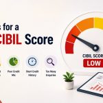 Reasons for a Low CIBIL score