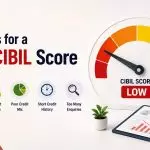 Reasons for a Low CIBIL score